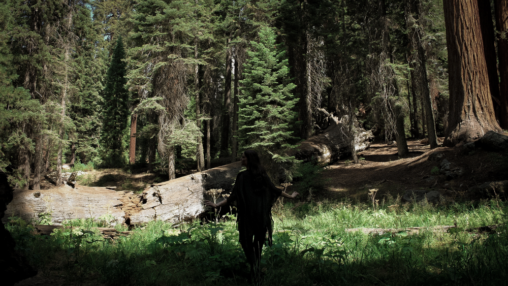 A woman dances in a grove of Sequoia Trees in Sequoia National Forest Park