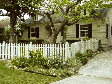 How Did Toadstool Farm Get Its Name?