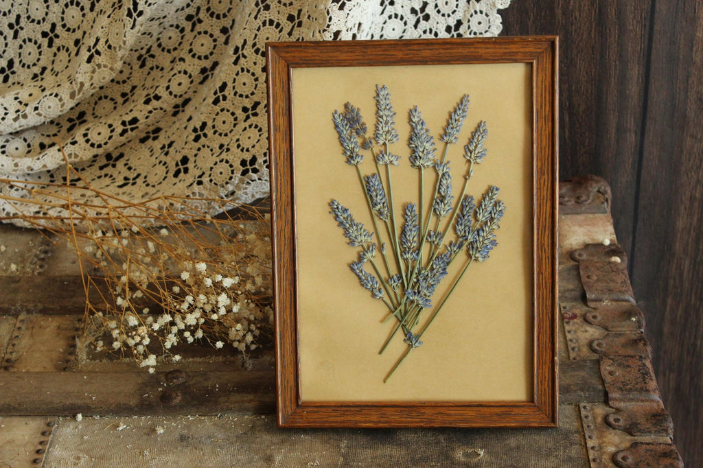 Handmade Framed Pressed Dried Lavender in A Vintage Wood Frame