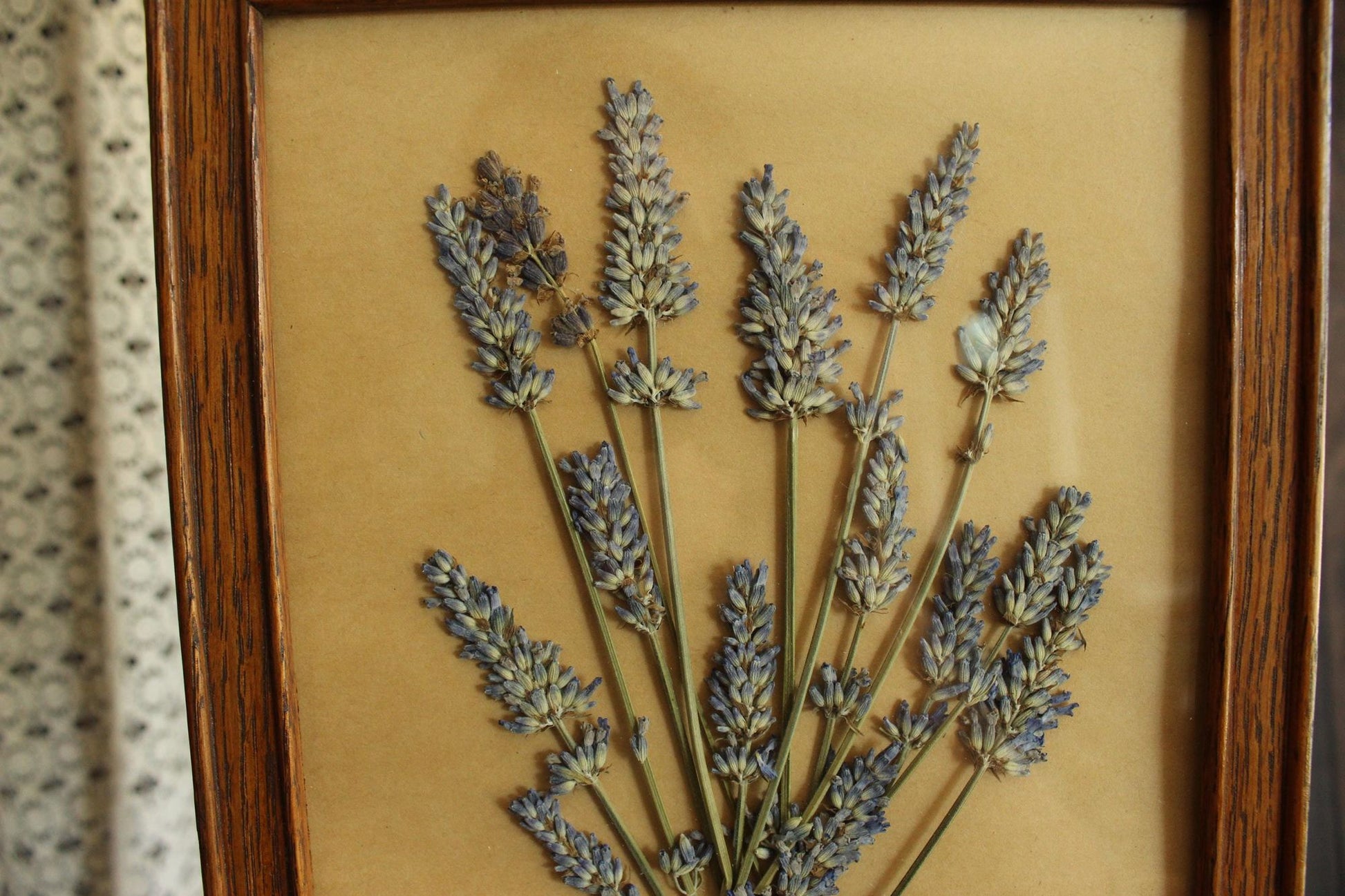Handmade Framed Pressed Dried Lavender in A Vintage Wood Frame