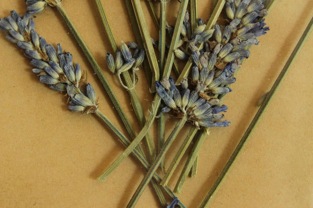 Handmade Framed Pressed Dried Lavender in A Vintage Wood Frame