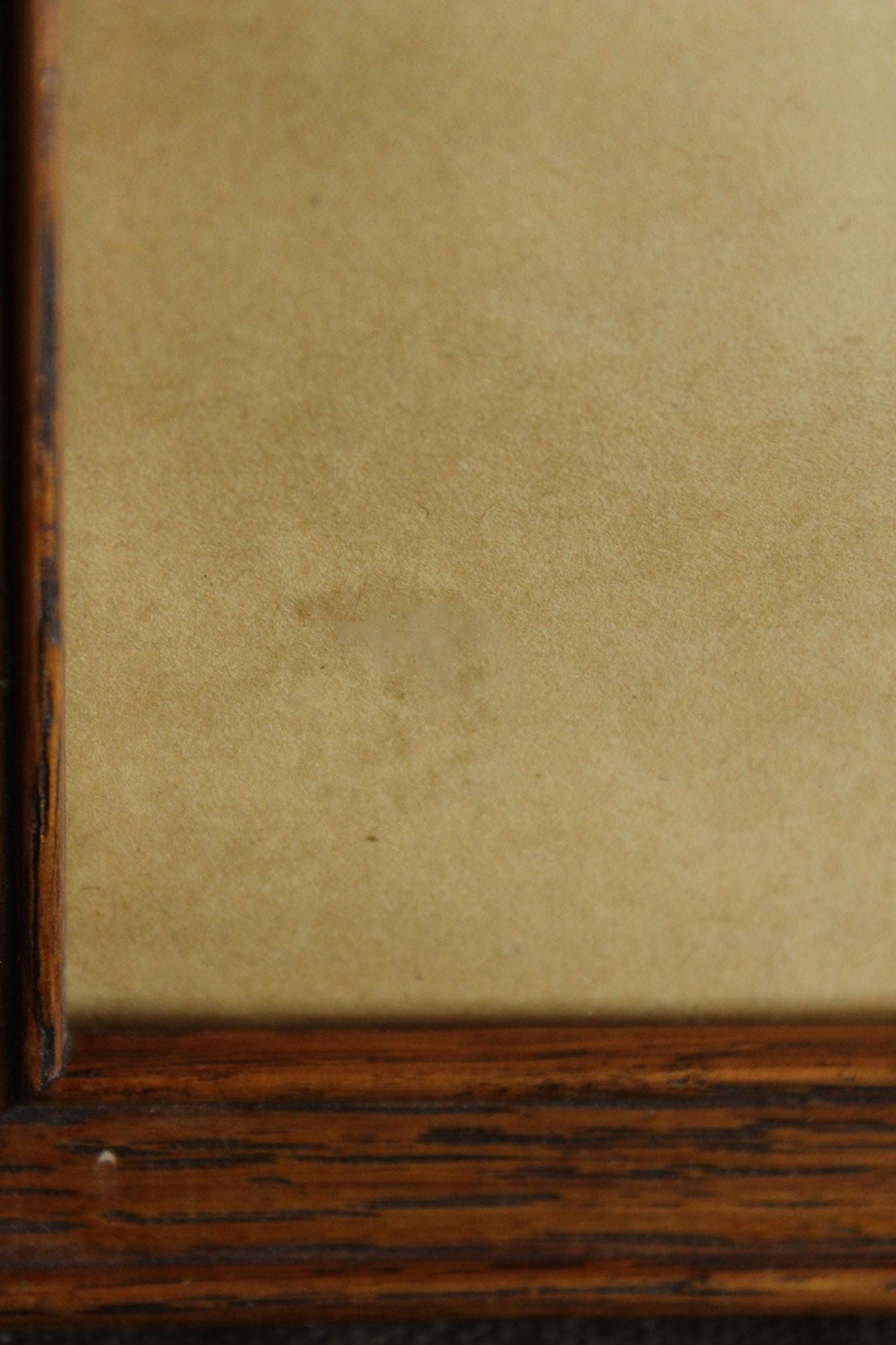 Handmade Framed Pressed Dried Lavender in A Vintage Wood Frame