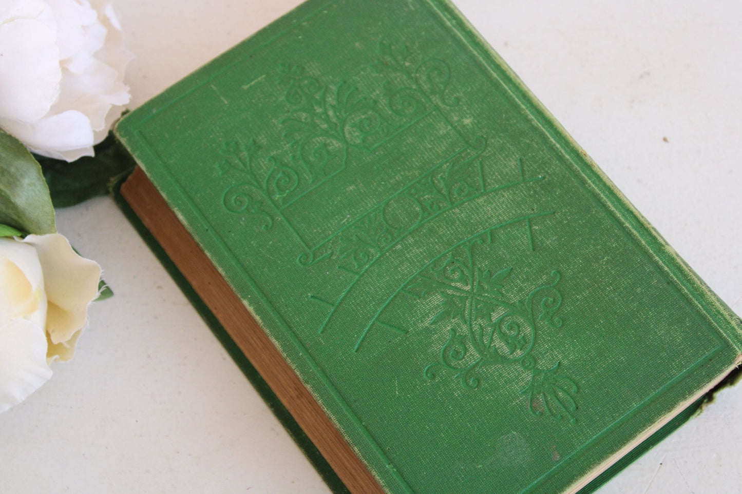 Vintage Antique 1870s Book, "Our Digestion, or My Jolly Friend's Secret" by Dio Lewis MD
