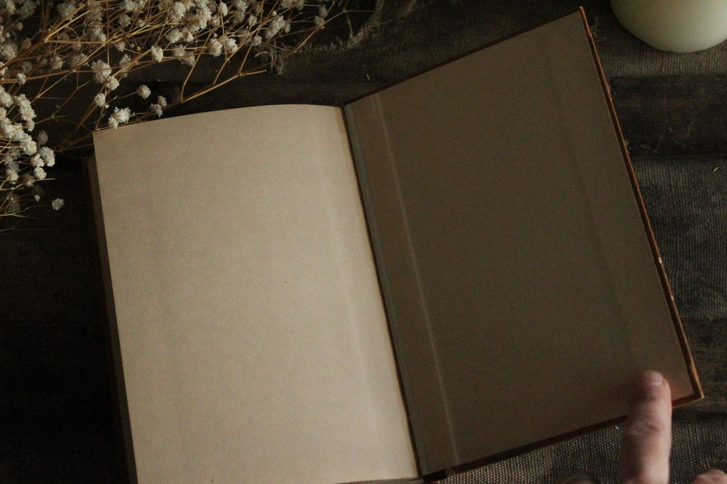 Vintage 1920s Book, "McGuffey's Third Eclectic Reader", Revised Edition