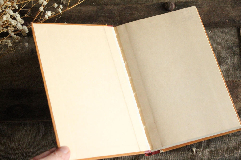 Vintage 1920s Book, "McGuffey's Third Eclectic Reader", Revised Edition