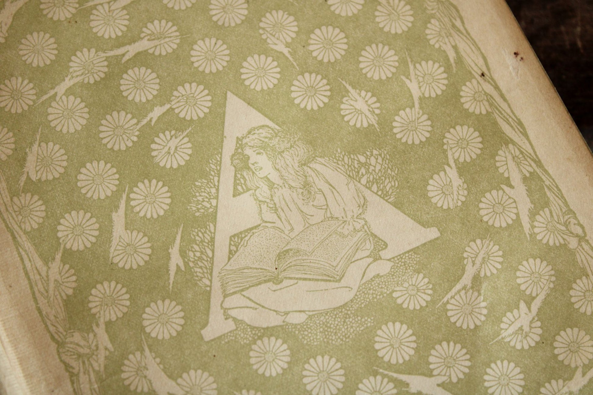 Vintage Antique 1890s Book, "Arabian Nights"  Henry Altemus, Illustrated