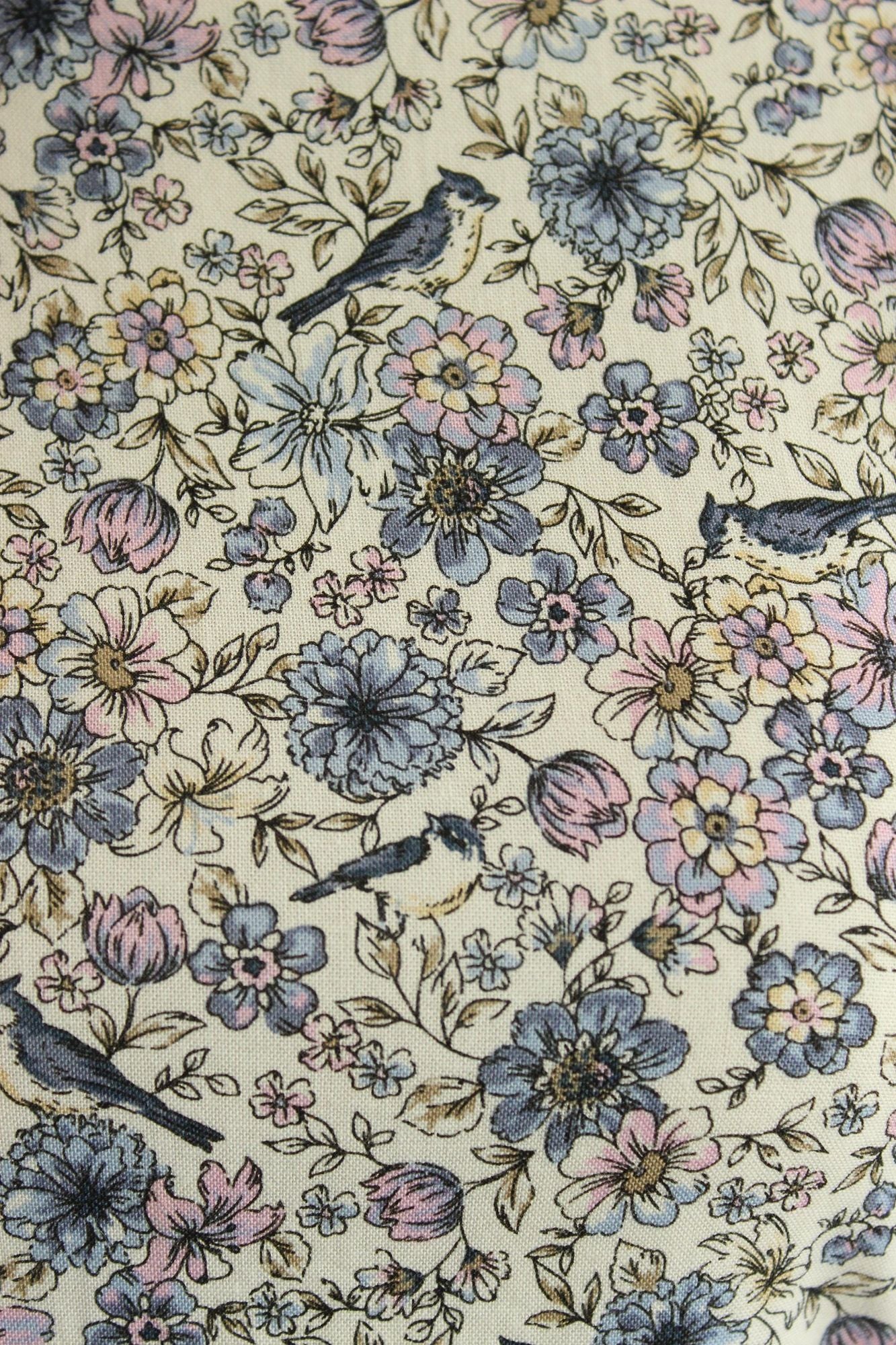 Vintage 1950s Bluebird Print Dress with Pockets