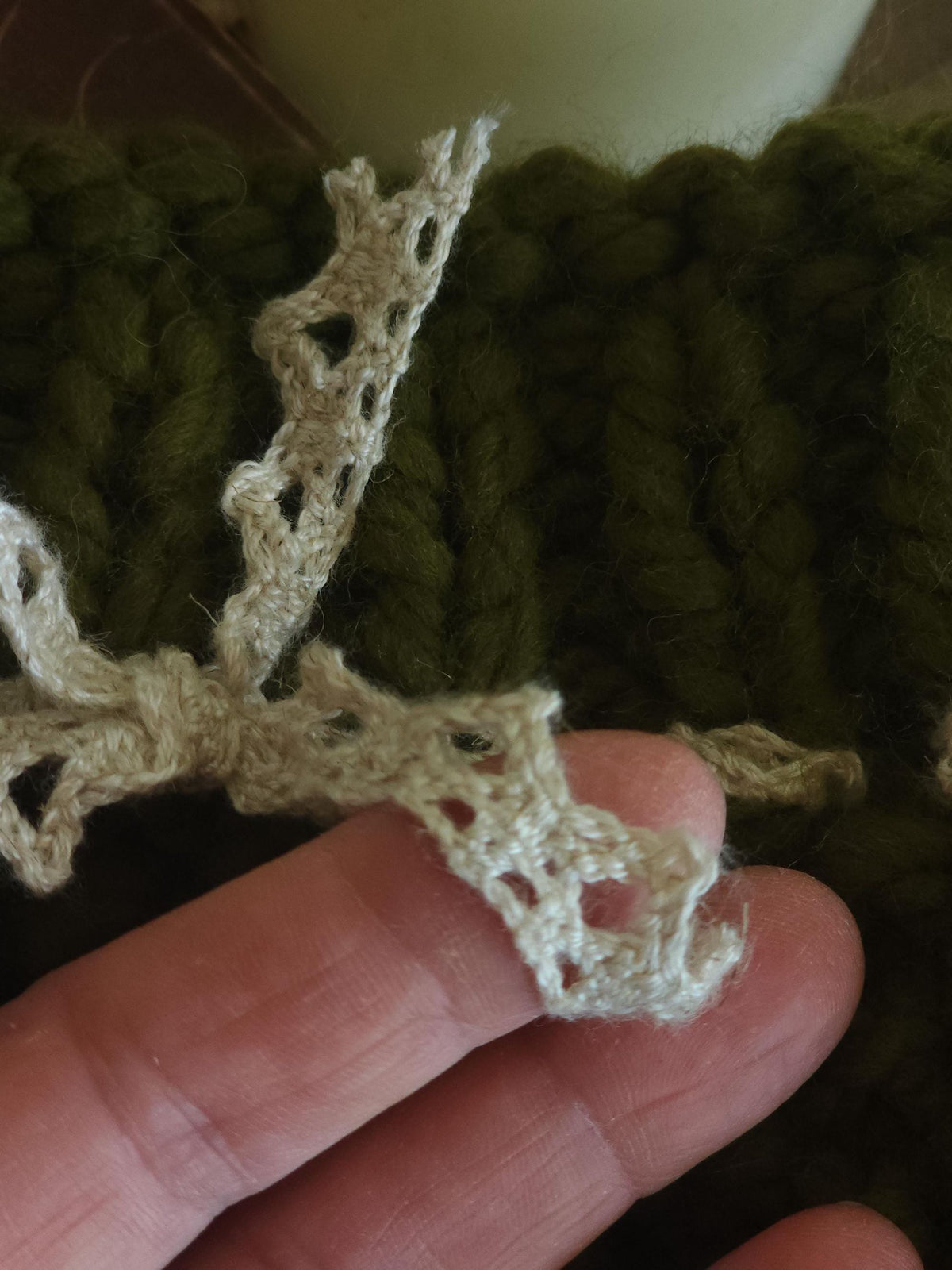 "Poison Apple" Green Hand Knit Book Pouch with Vintage Lace Trim