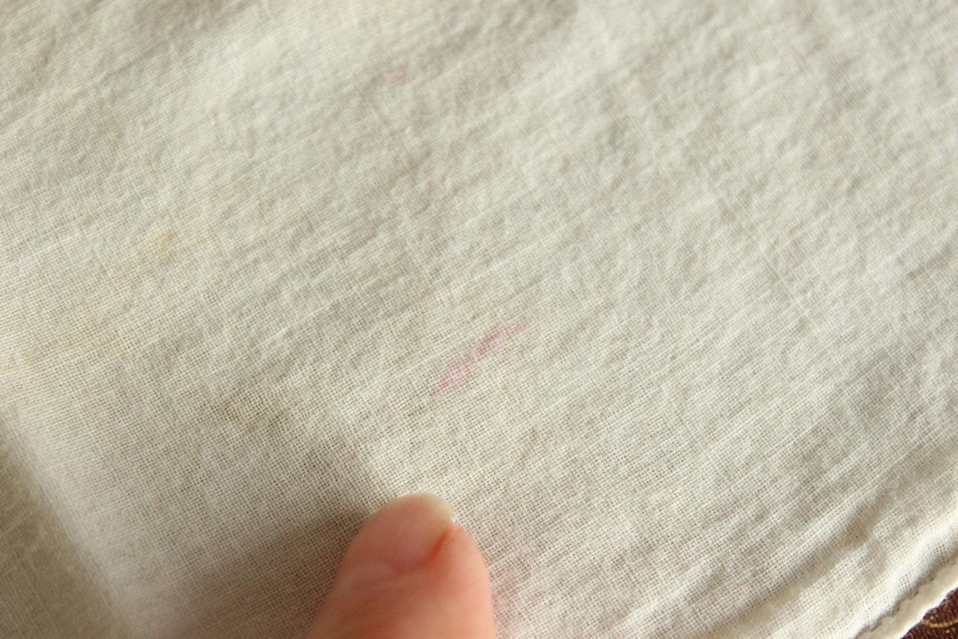 Vintage 1950s Handkerchief with Blue Flower Applique and Embroidery