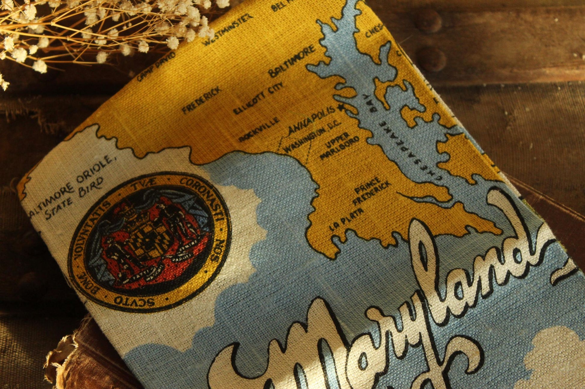 Vintage Maryland Souvenir State Landmark Towel