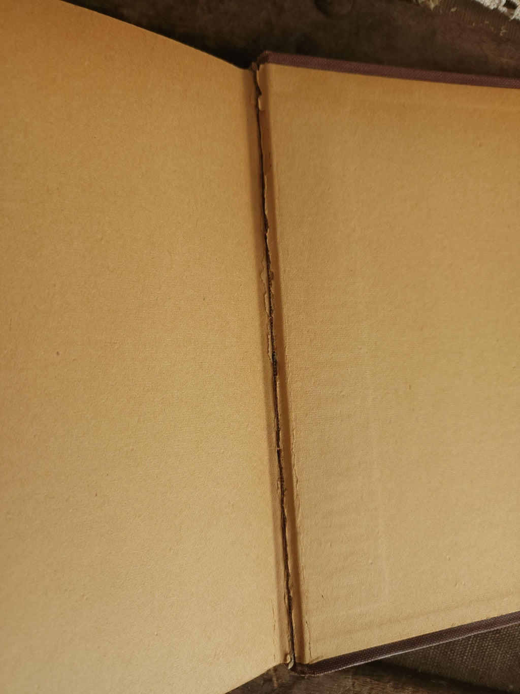 Vintage 1920s Book, "The Girl Scouts Rally; or Rosanna Wins" First Edition by Katherine Keene Galt