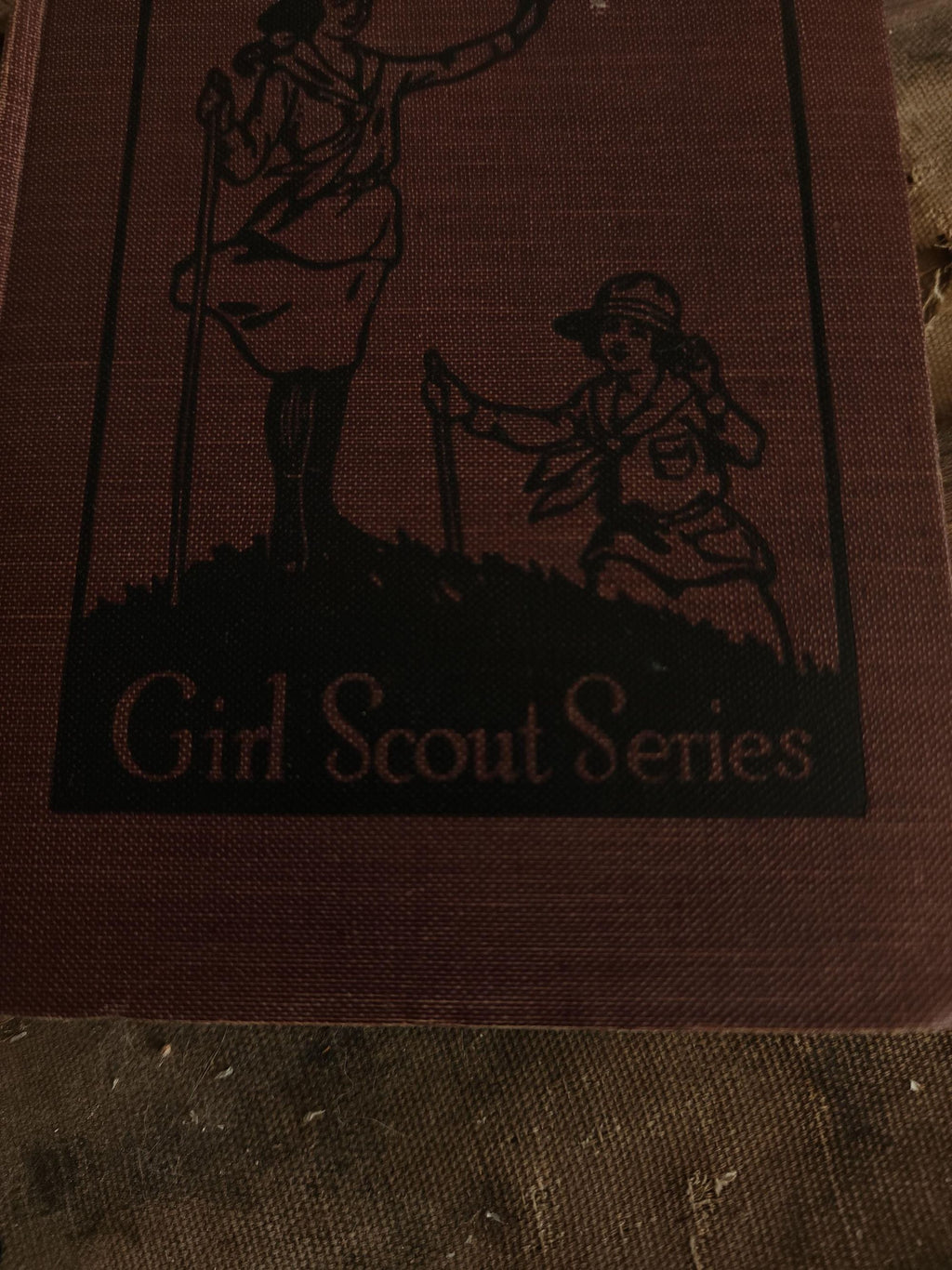 Vintage 1920s Book, "The Girl Scouts Rally; or Rosanna Wins" First Edition by Katherine Keene Galt