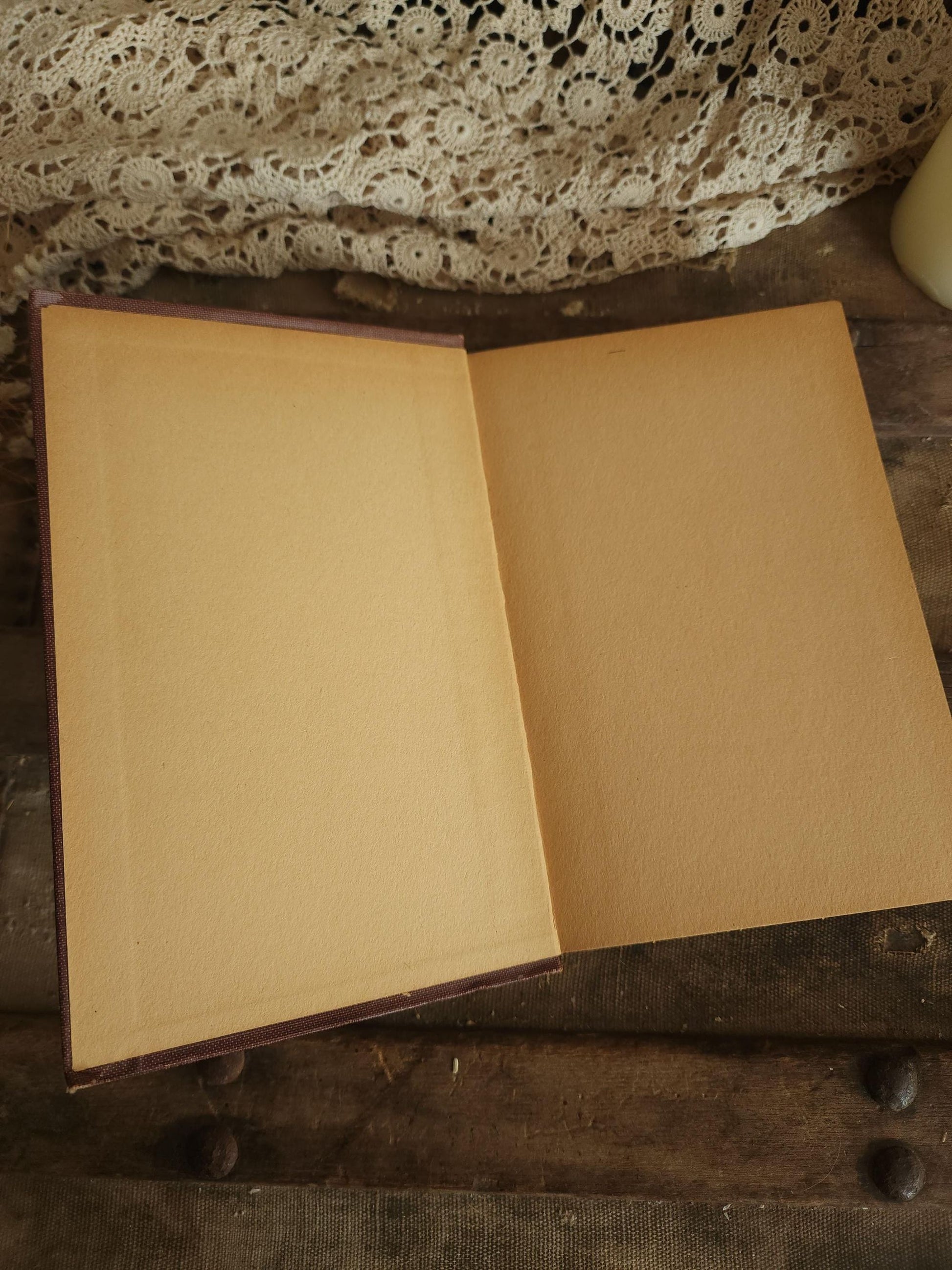 Vintage 1920s Book, "The Girl Scouts Rally; or Rosanna Wins" First Edition by Katherine Keene Galt