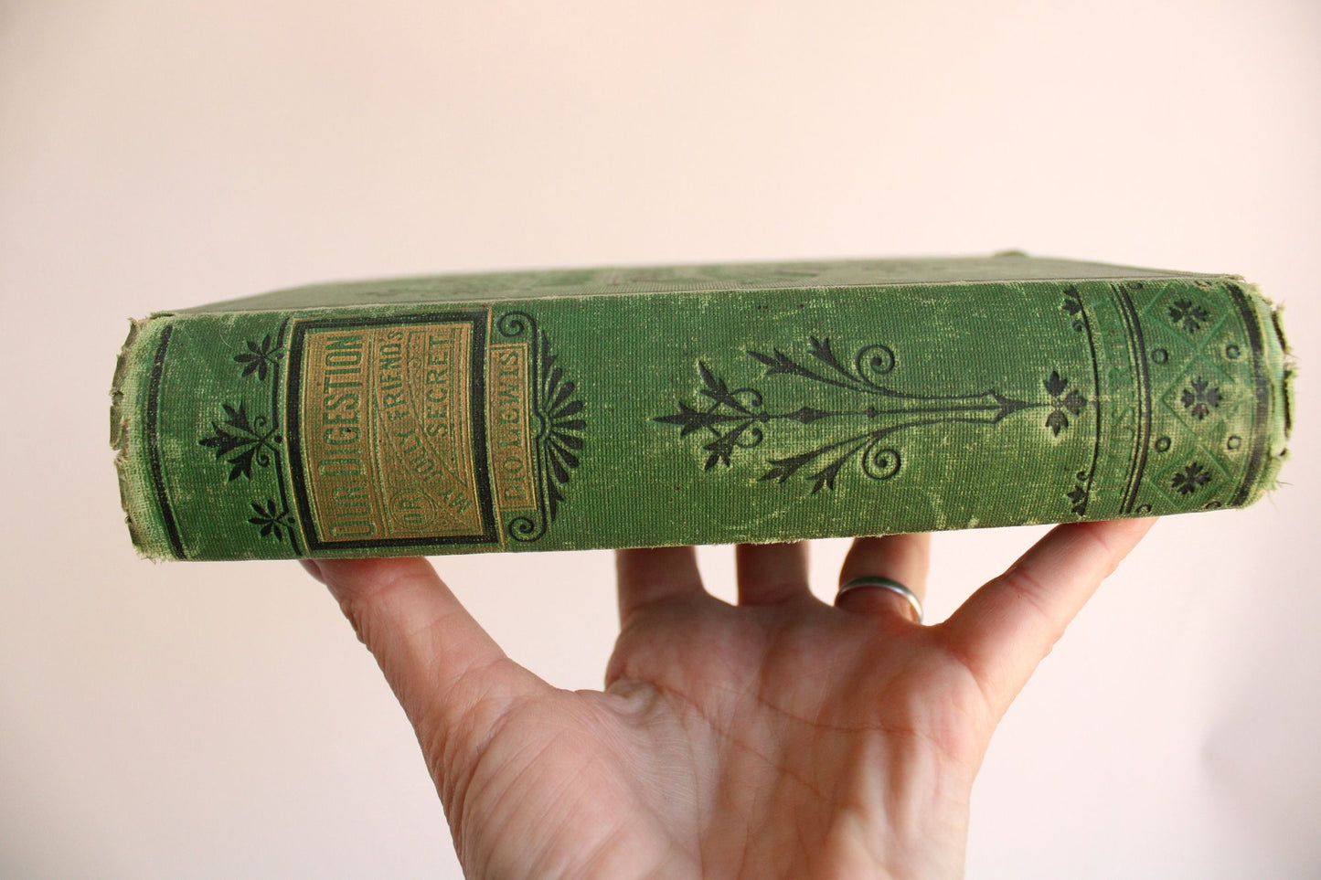 Vintage Antique 1870s Book, "Our Digestion, or My Jolly Friend's Secret" by Dio Lewis MD