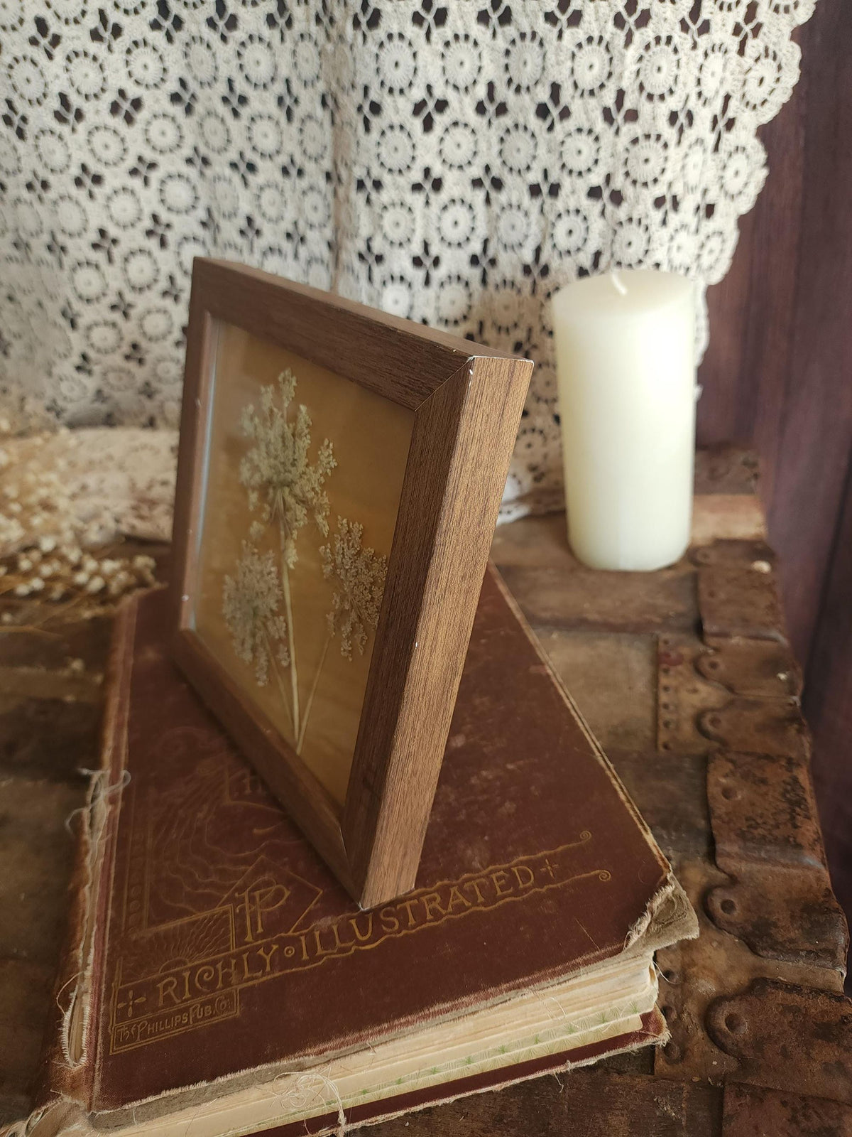 Pressed Dried Queen Annes Lace in a Brown Wood Look Frame