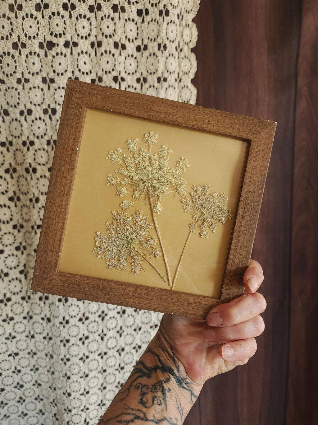 Pressed Dried Queen Annes Lace in a Brown Wood Look Frame