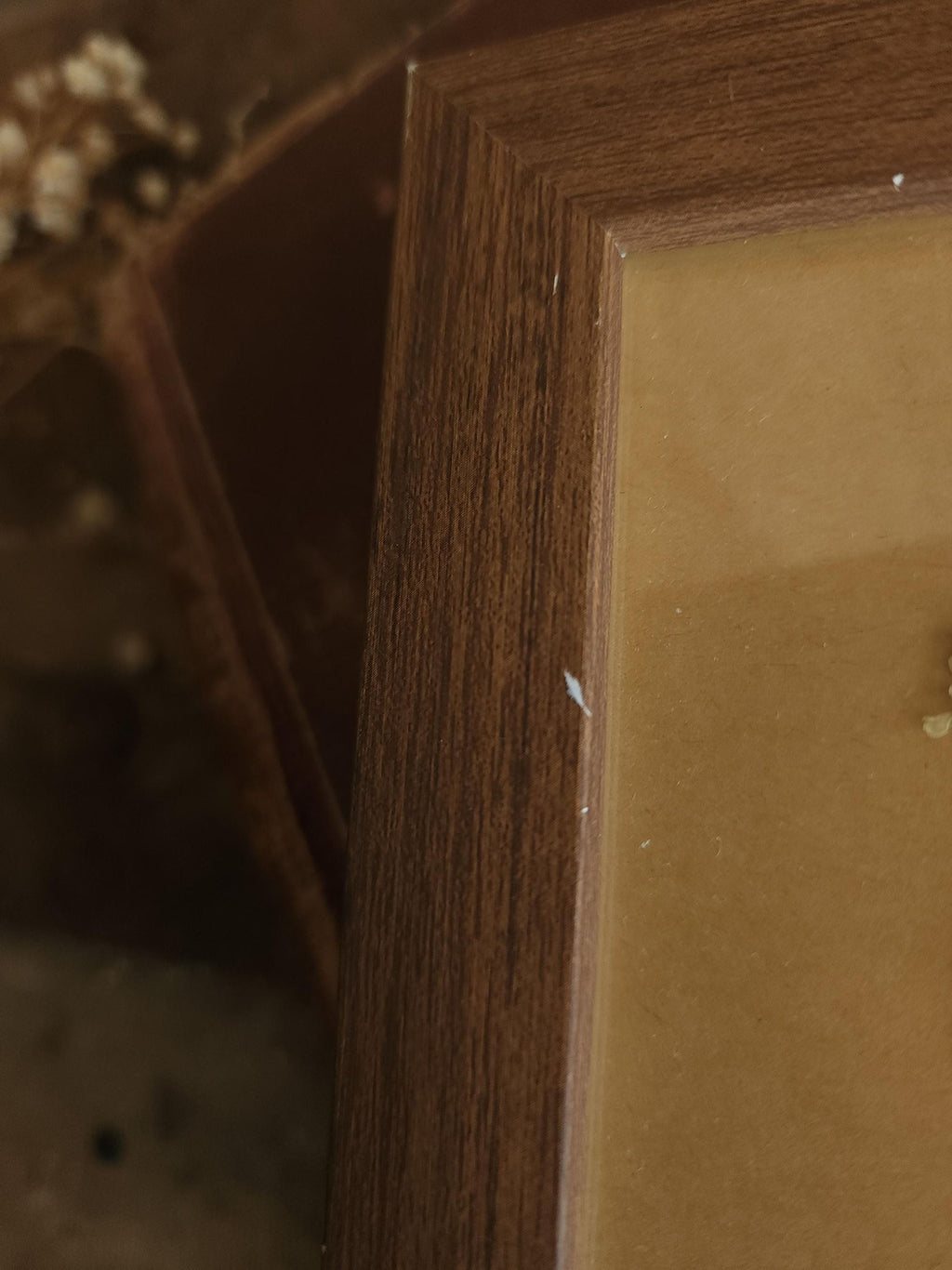 Pressed Dried Queen Annes Lace in a Brown Wood Look Frame