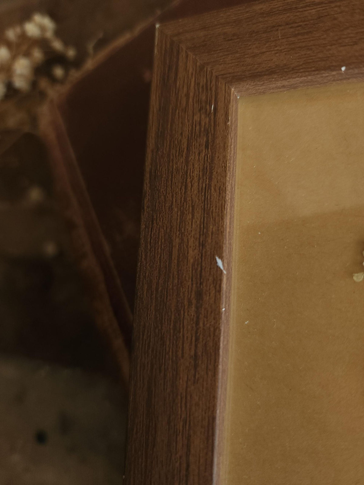 Pressed Dried Queen Annes Lace in a Brown Wood Look Frame
