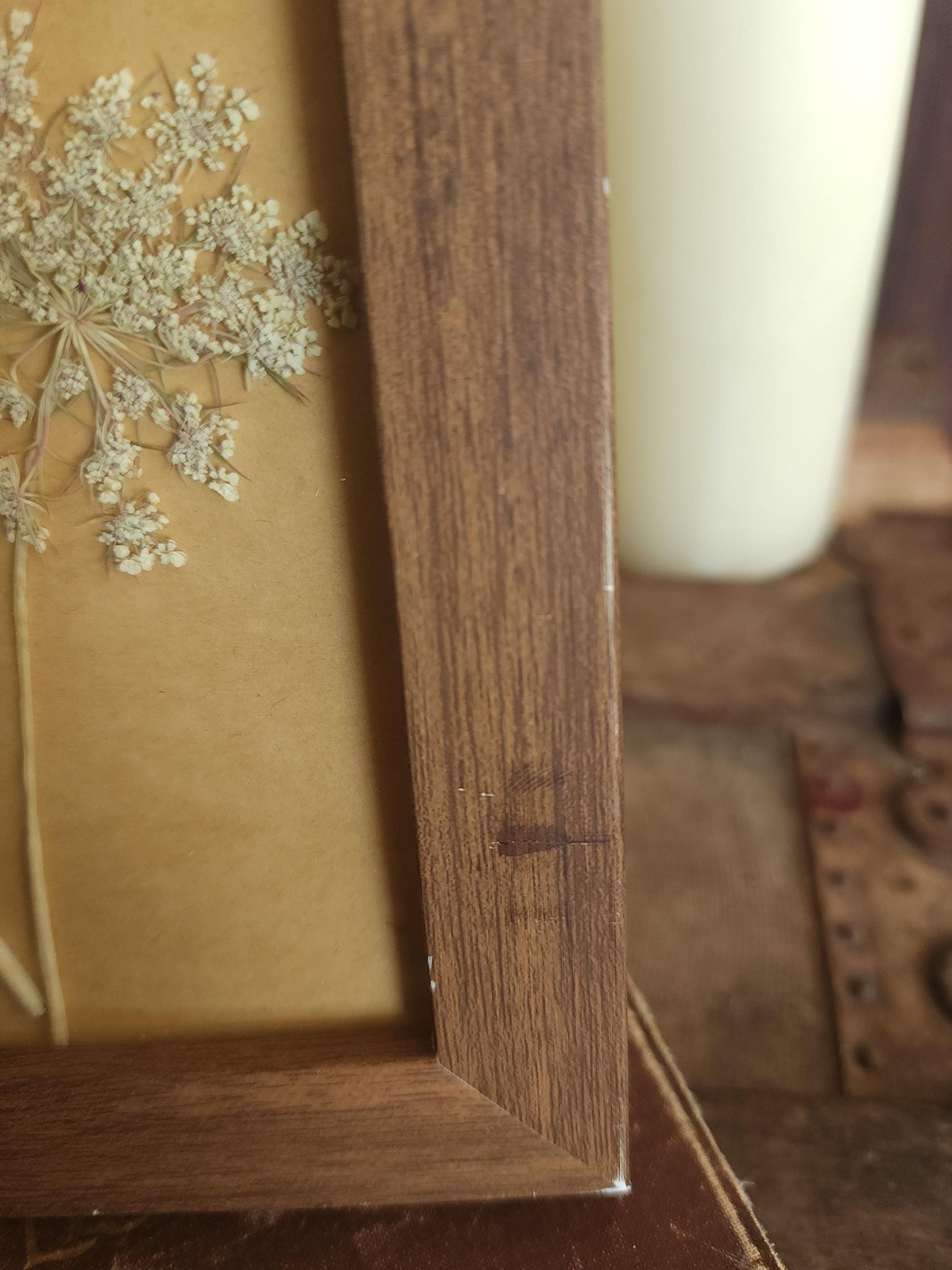 Pressed Dried Queen Annes Lace in a Brown Wood Look Frame
