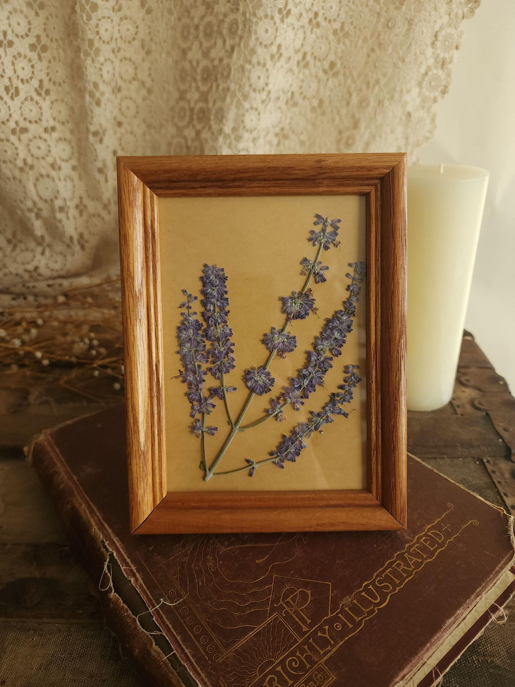 Pressed Dried Russian Sage Flowers in Vintage Wood Frame