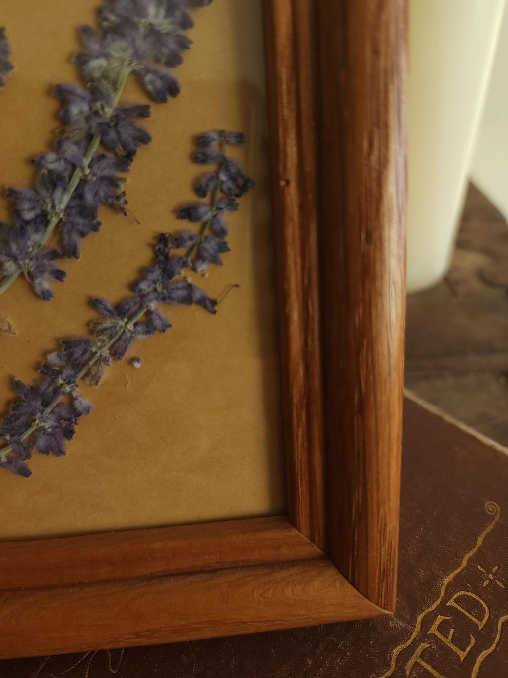 Pressed Dried Russian Sage Flowers in Vintage Wood Frame