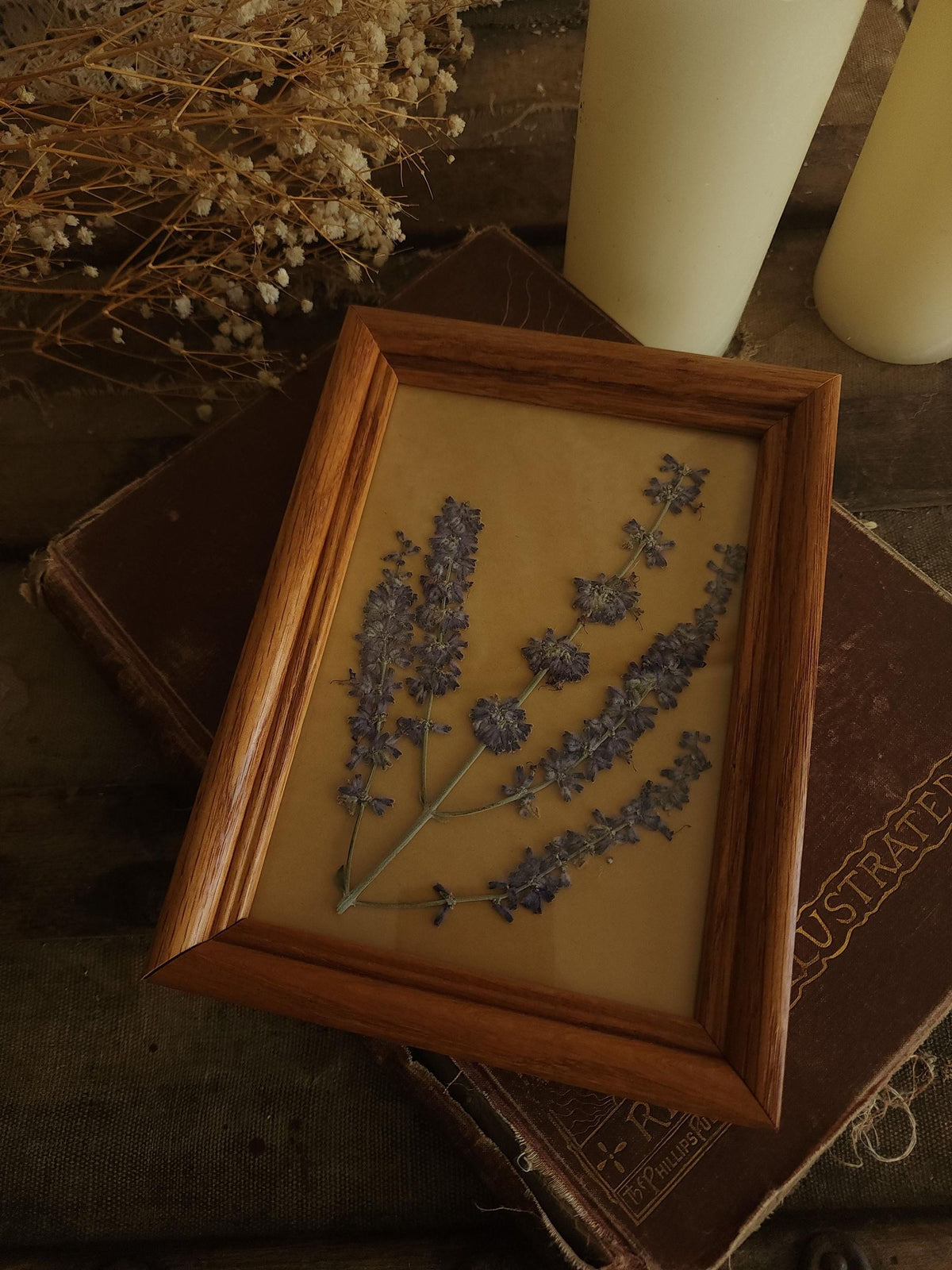 Pressed Dried Russian Sage Flowers in Vintage Wood Frame