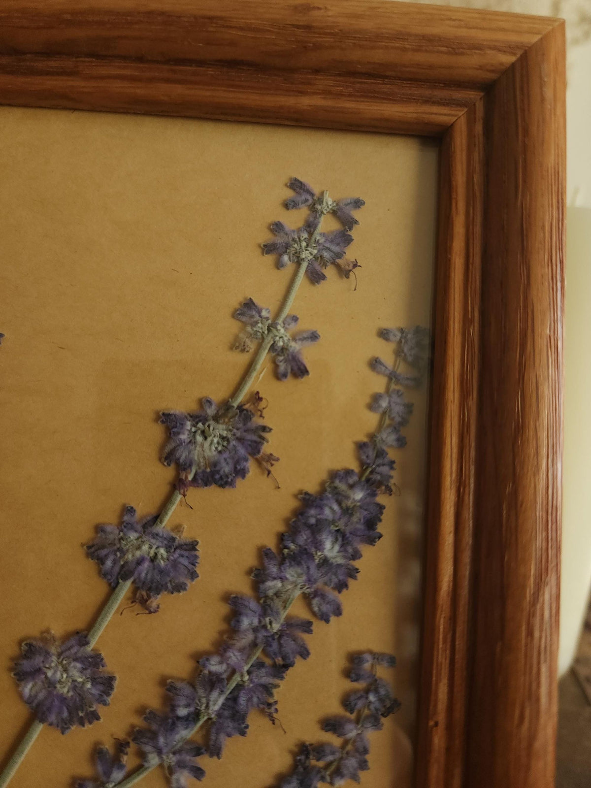 Pressed Dried Russian Sage Flowers in Vintage Wood Frame