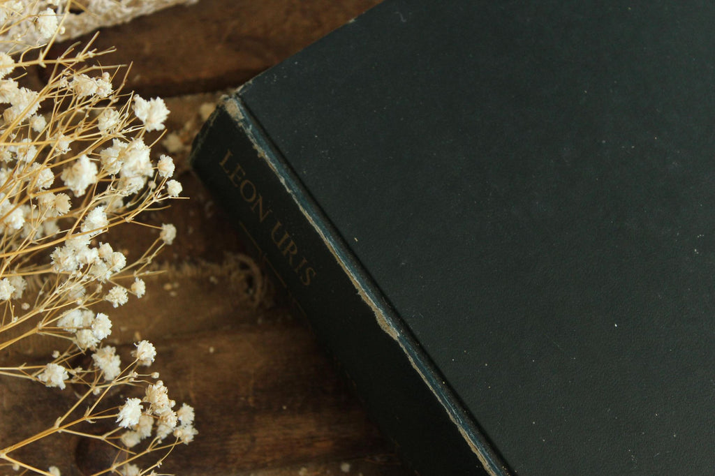Vintage 1970s Book, "Trinity" by Leon Uris, Doubleday & Co