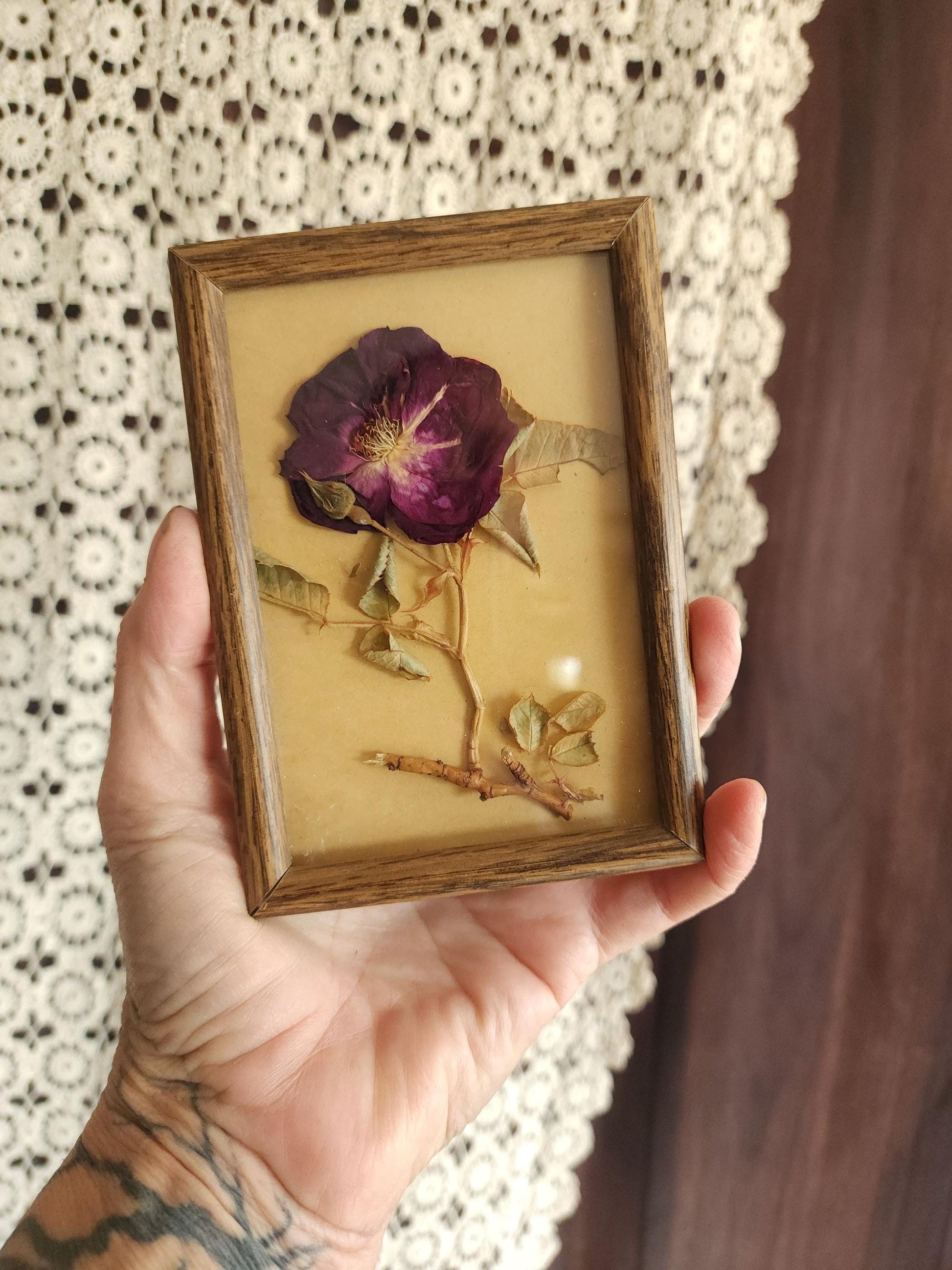 Pressed Dried Homegrown Roses in Vintage 1980s Wood Frame