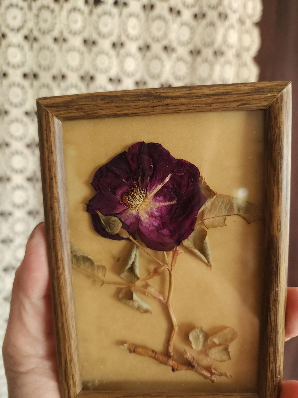 Pressed Dried Homegrown Roses in Vintage 1980s Wood Frame
