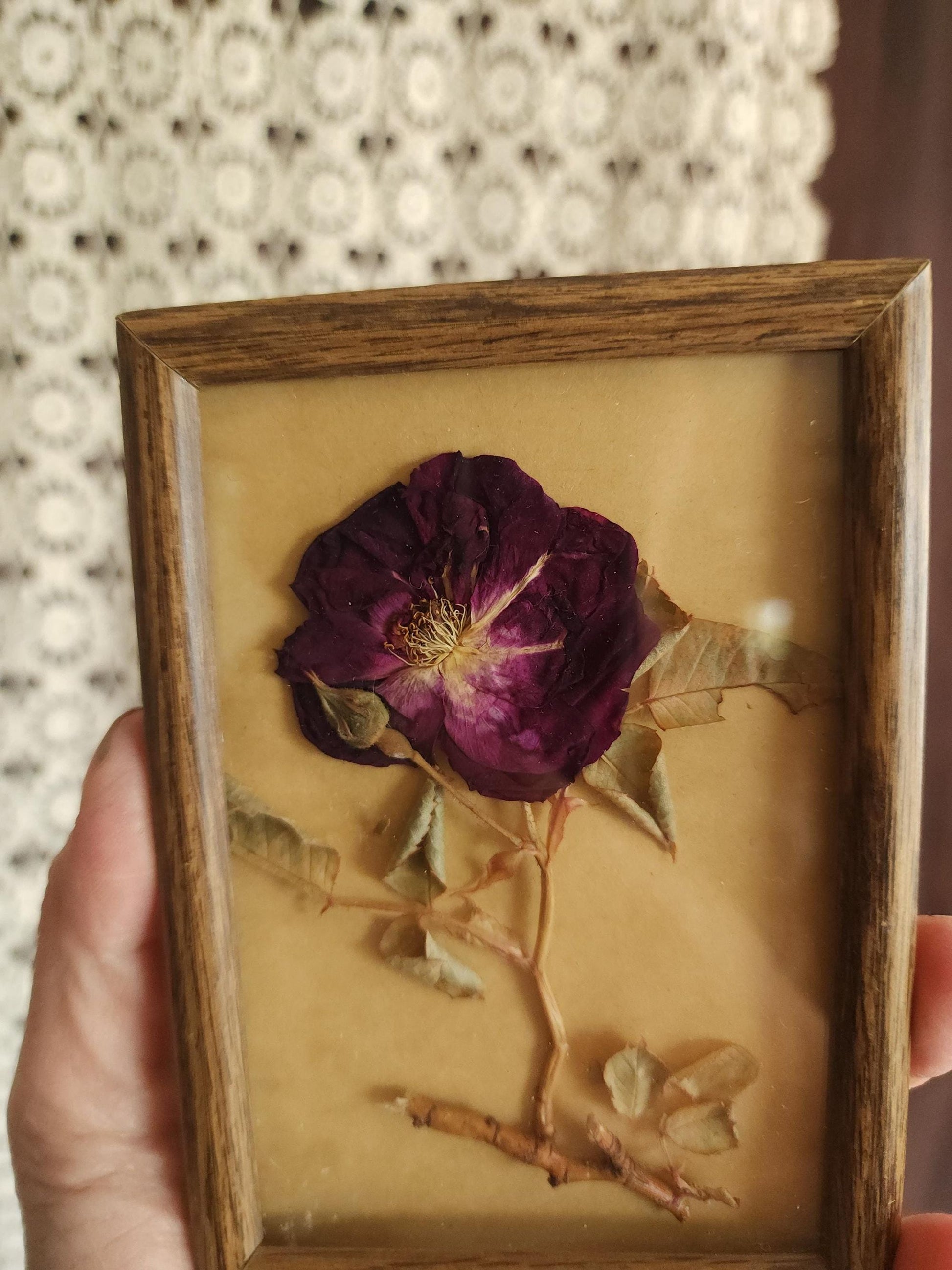 Pressed Dried Homegrown Roses in Vintage 1980s Wood Frame