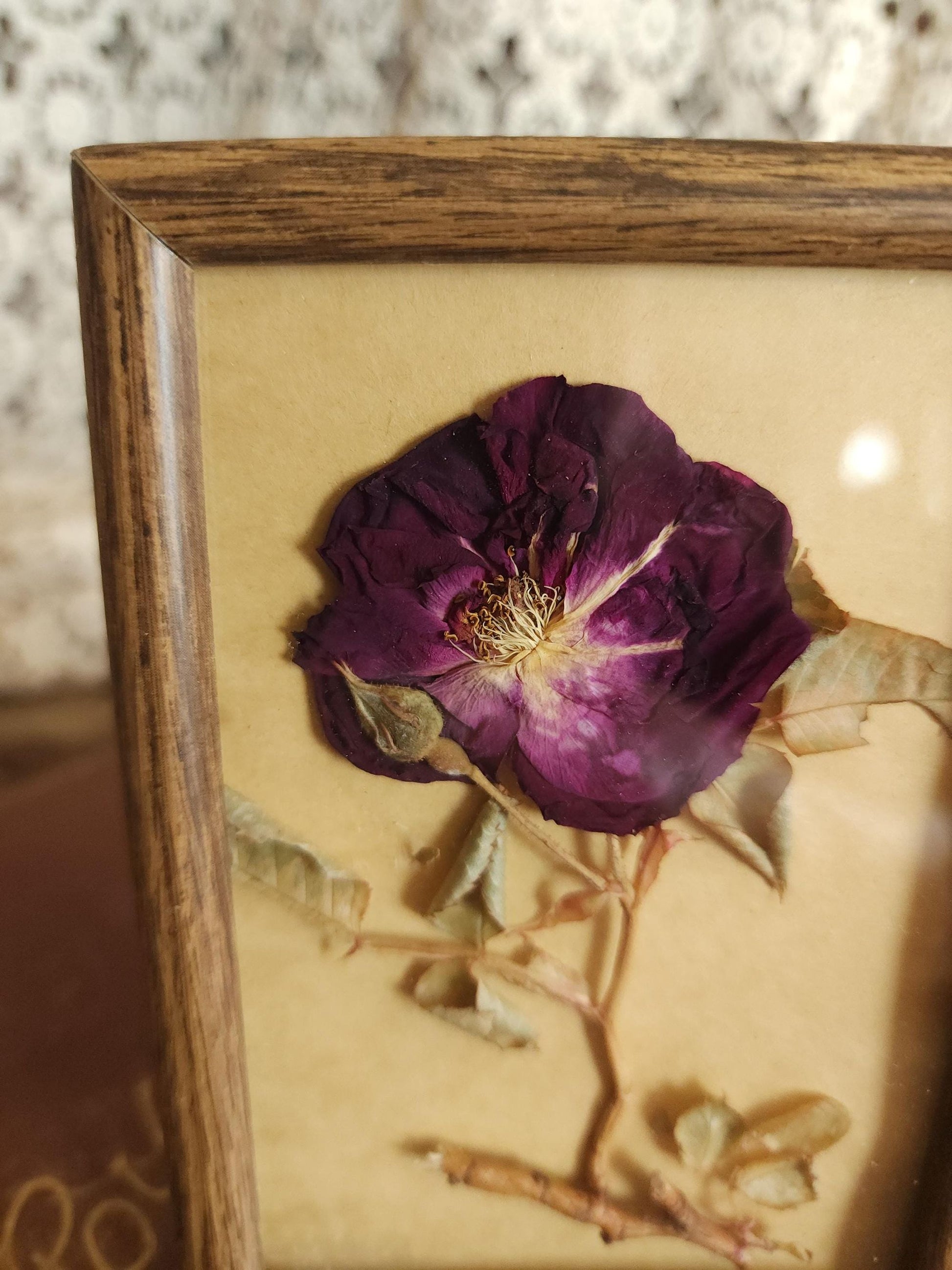 Pressed Dried Homegrown Roses in Vintage 1980s Wood Frame