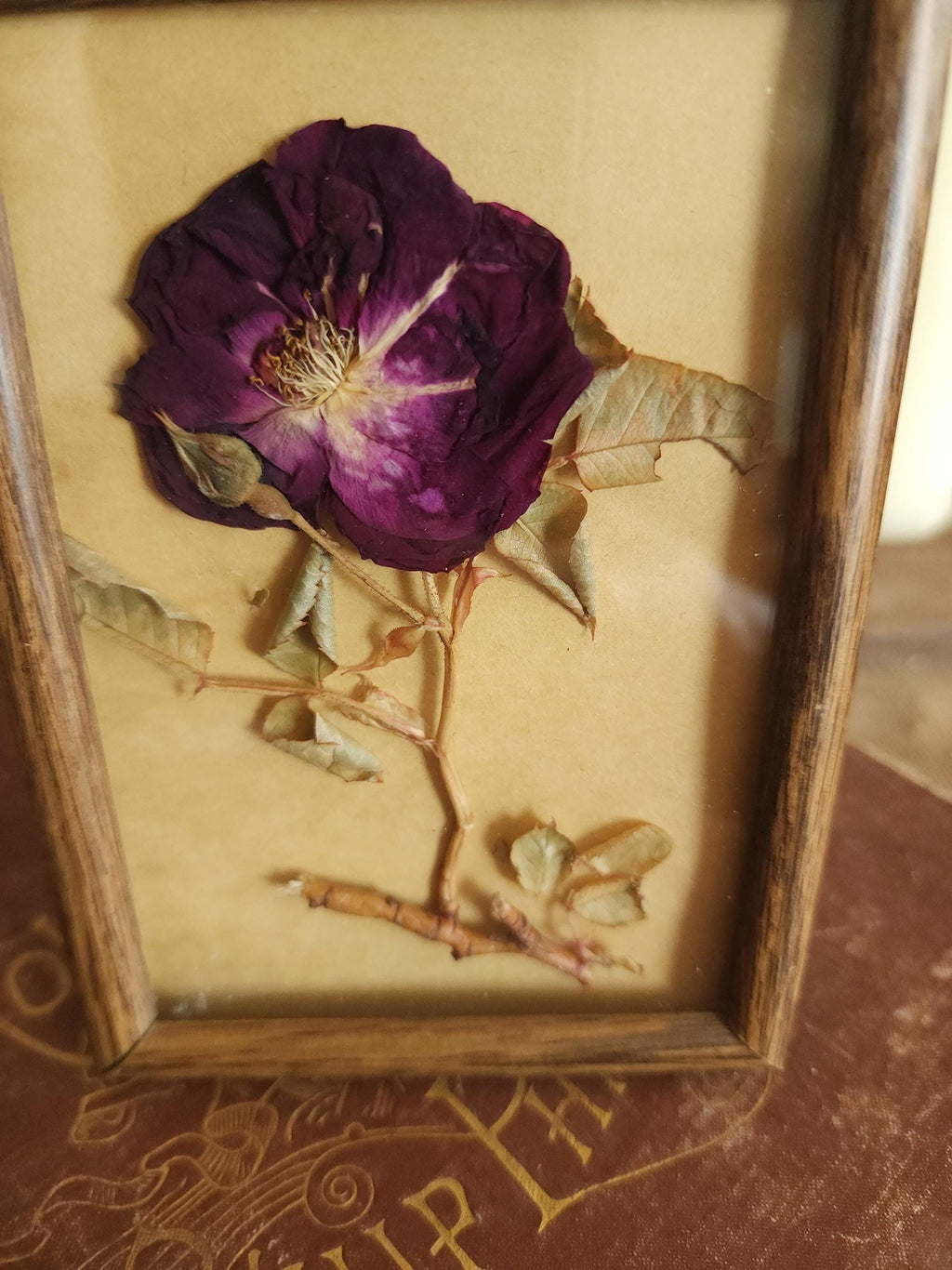 Pressed Dried Homegrown Roses in Vintage 1980s Wood Frame