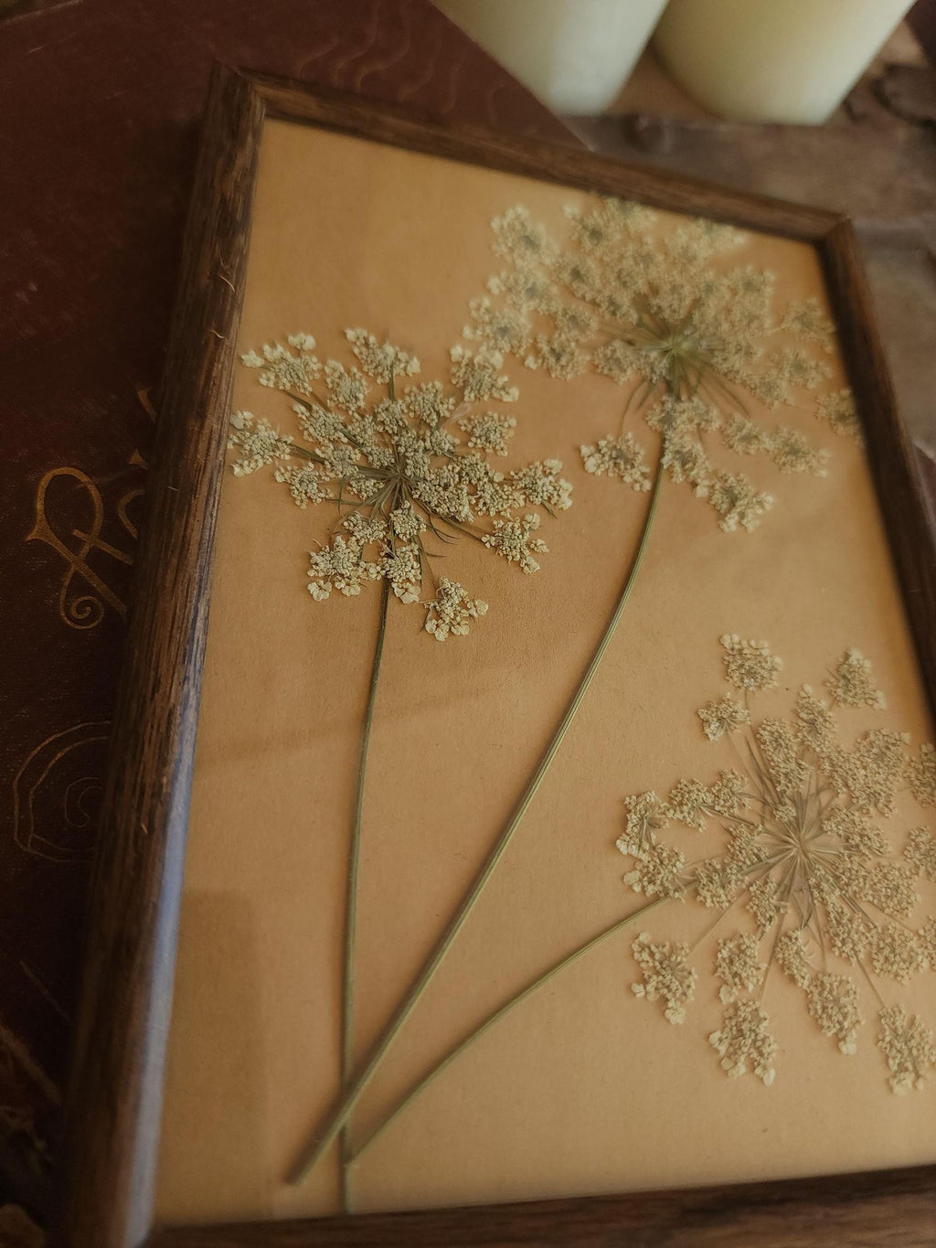 Pressed Dried Queen Annes Lace in Vintage Wood Frame