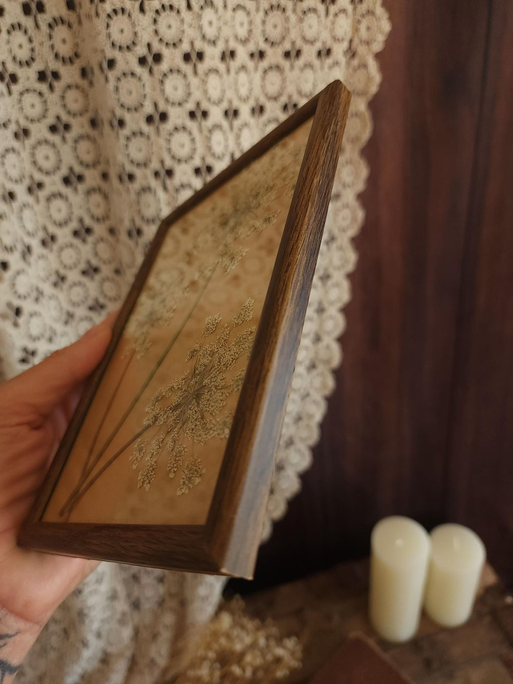 Pressed Dried Queen Annes Lace in Vintage Wood Frame