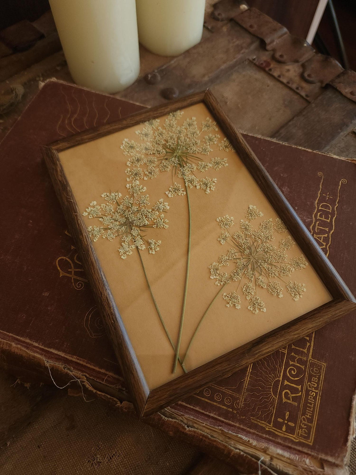 Pressed Dried Queen Annes Lace in Vintage Wood Frame