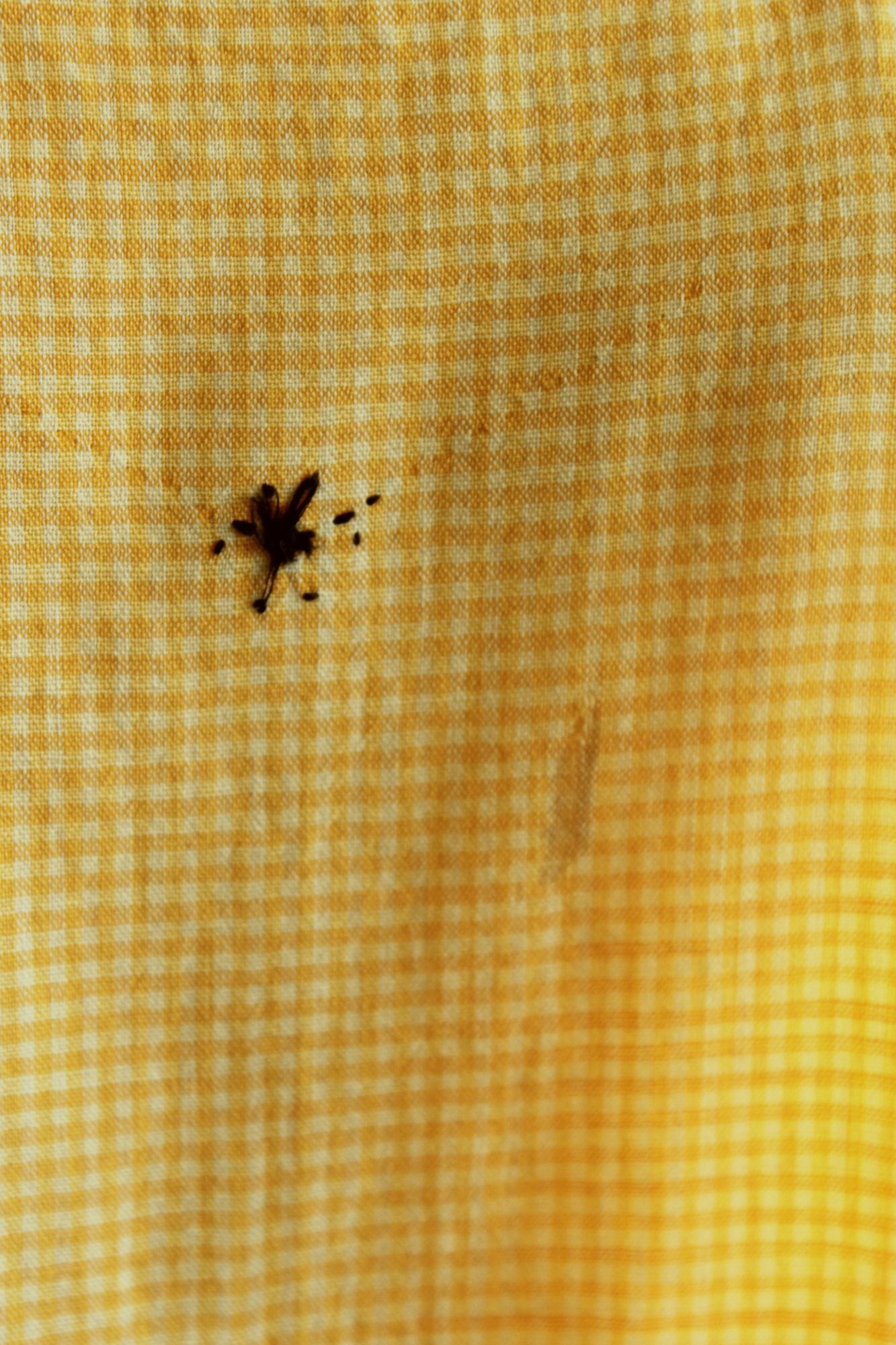 Vintage 1960s Orange Gingham Pinafore Apron With Pocket