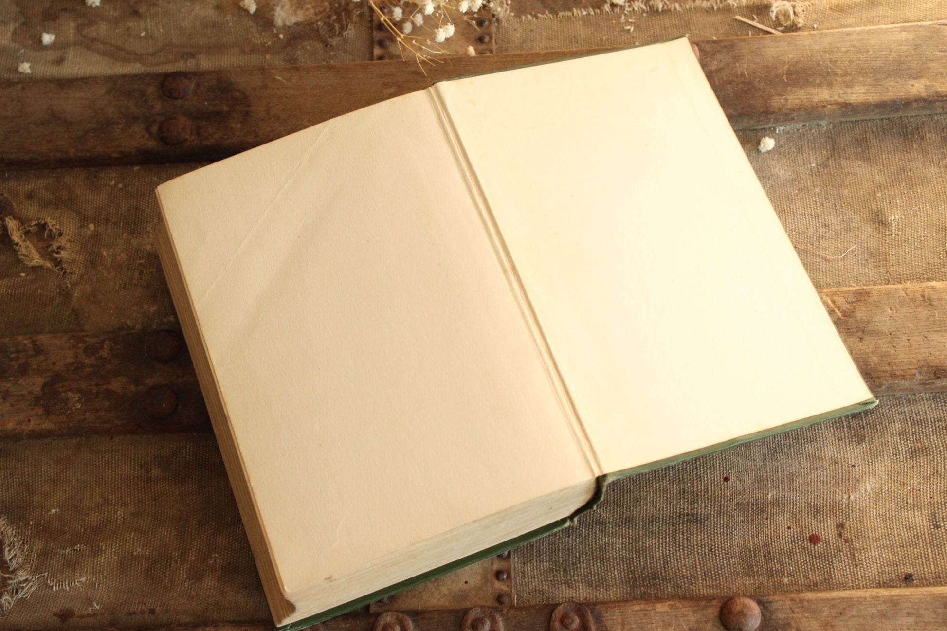 Vintage 1900s Book, "The Masquerader" by Katherine Cecil Thurston, Published by Harper & Bros., Green and Gold