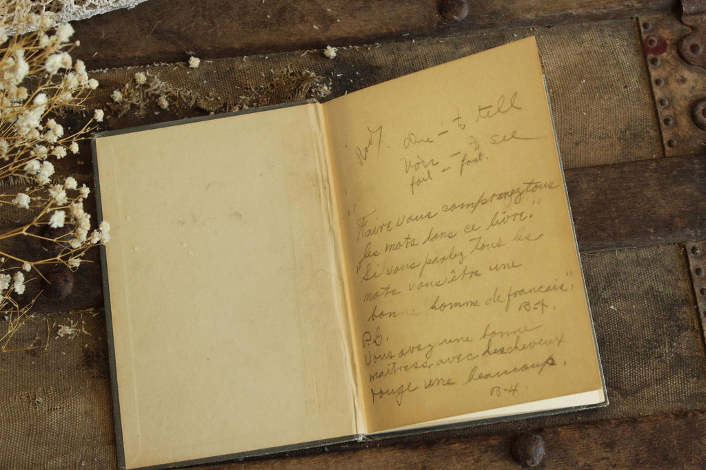 Vintage Antique 1890s Book, "La Poudre aux Yeux", Labiche Martin, Edited by Benjamin Wells