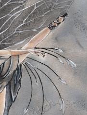 "Ballerina"