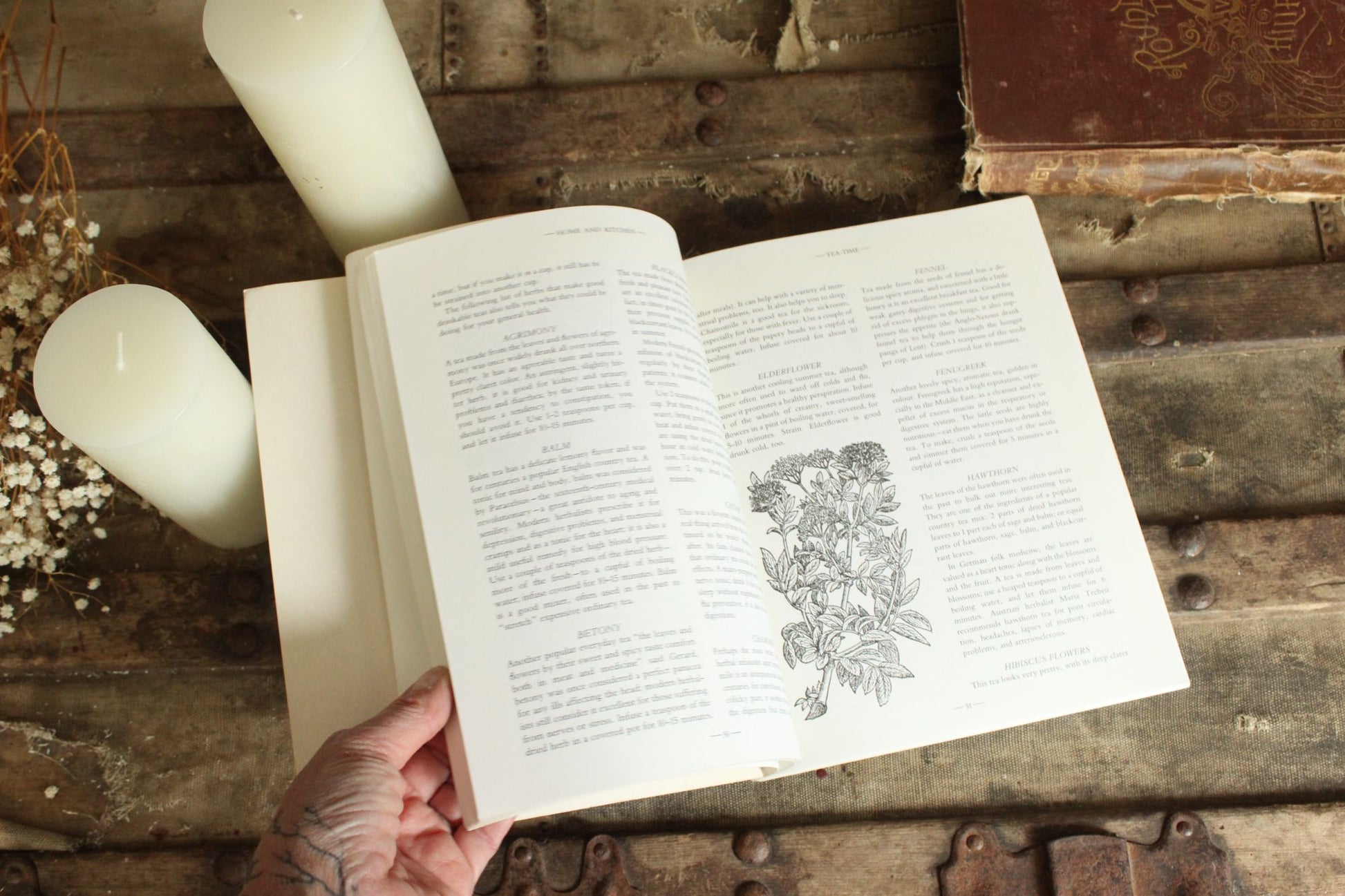 Vintage 1990s Book, "The Green Witch Herbal" by Barbara Griggs, 1994