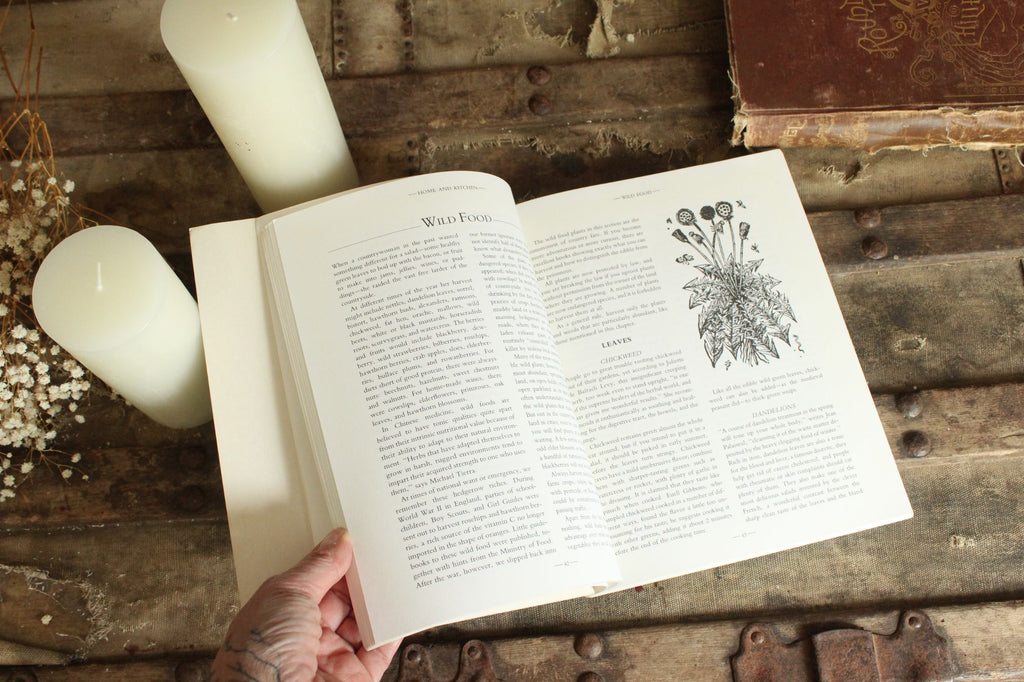 Vintage 1990s Book, "The Green Witch Herbal" by Barbara Griggs, 1994