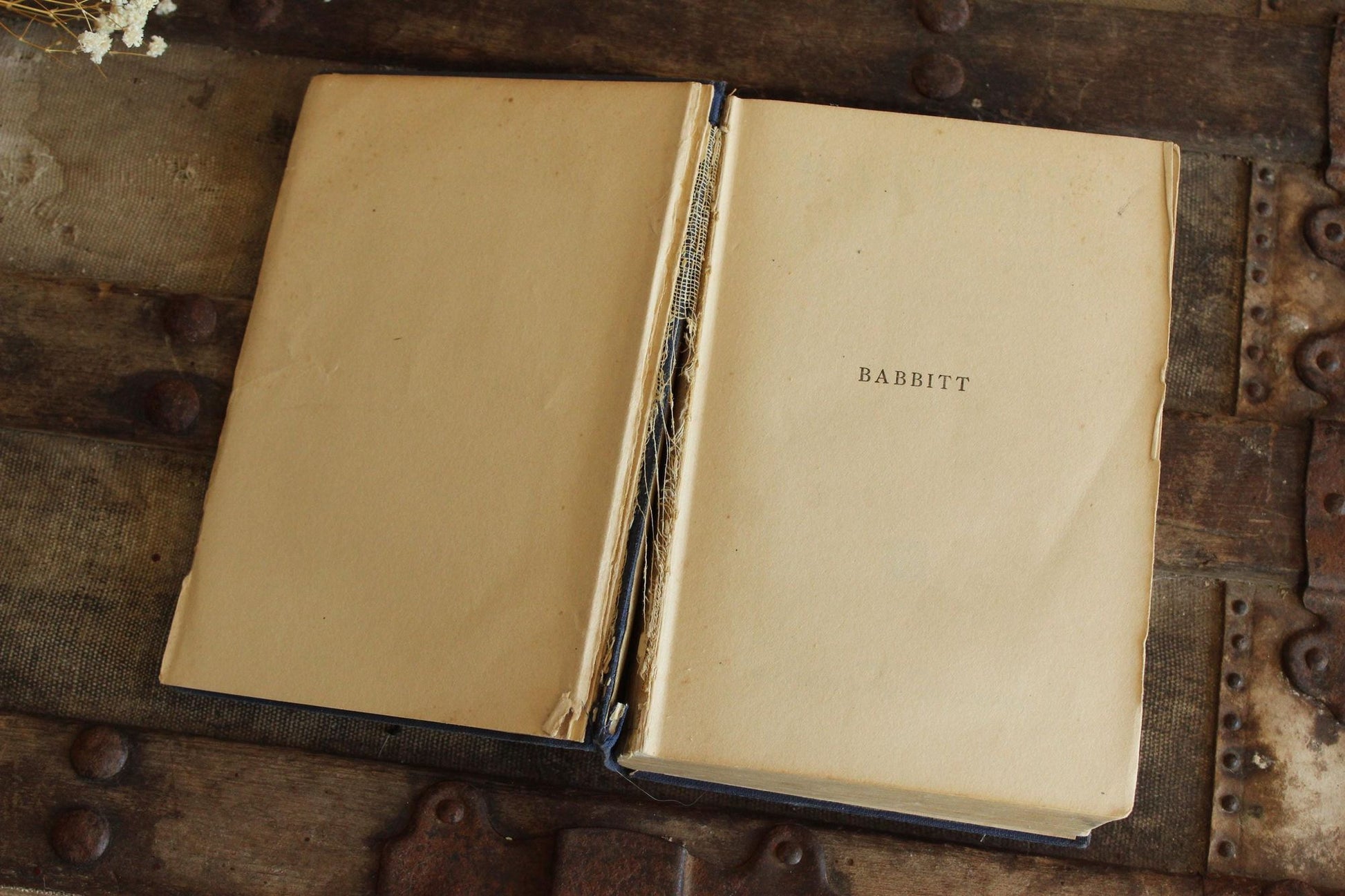 Vintage 1920s Book, "Babbitt" by Sinclair Lewis, 1922, Possible First Edition