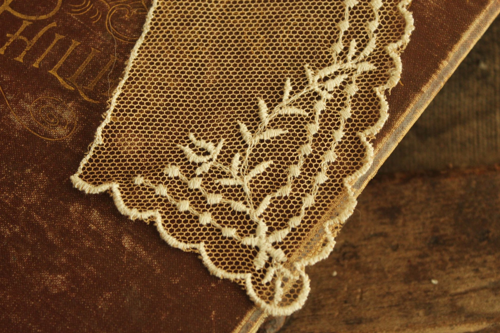 Vintage Pair of 9" Long Ivory Lace Collar Appliques