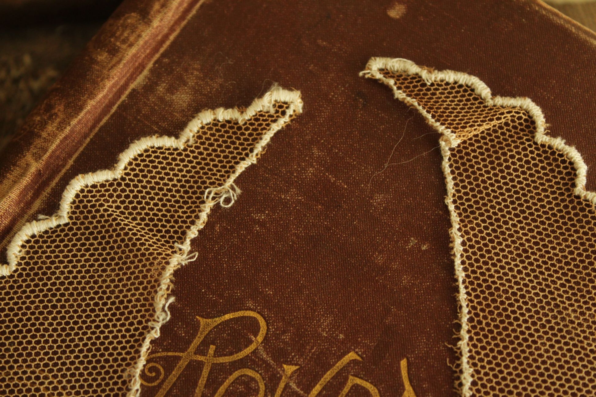 Vintage Pair of 9" Long Ivory Lace Collar Appliques