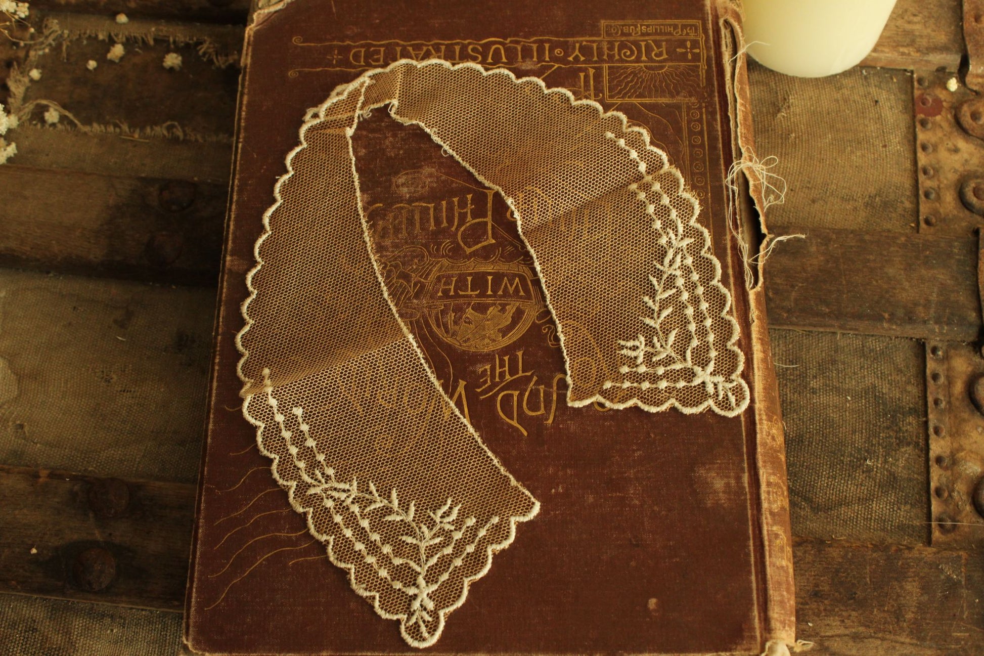 Vintage Pair of 9" Long Ivory Lace Collar Appliques
