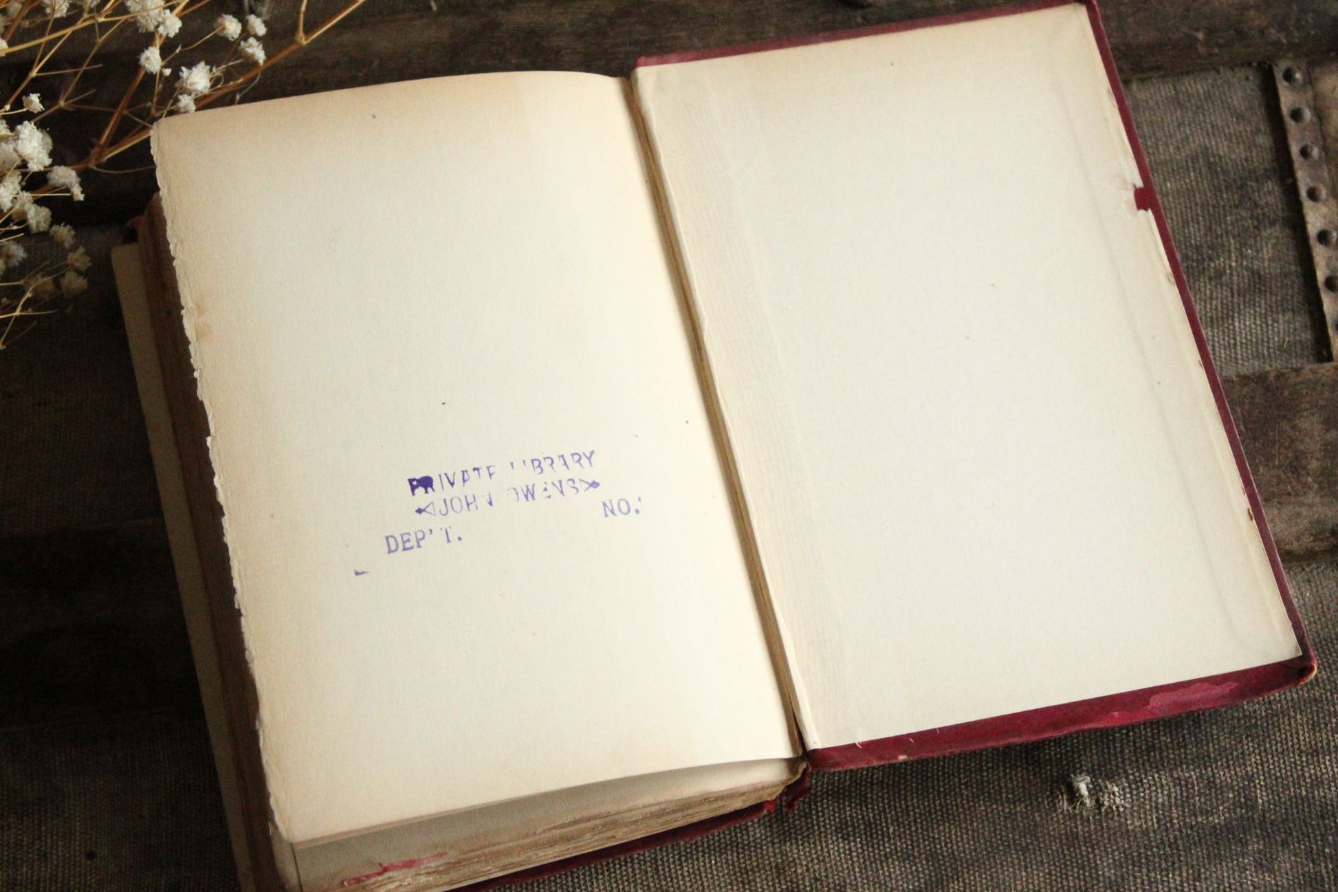 Vintage Antique 1890s Book, "Rhymes of Childhood" by James Whitcomb Riley