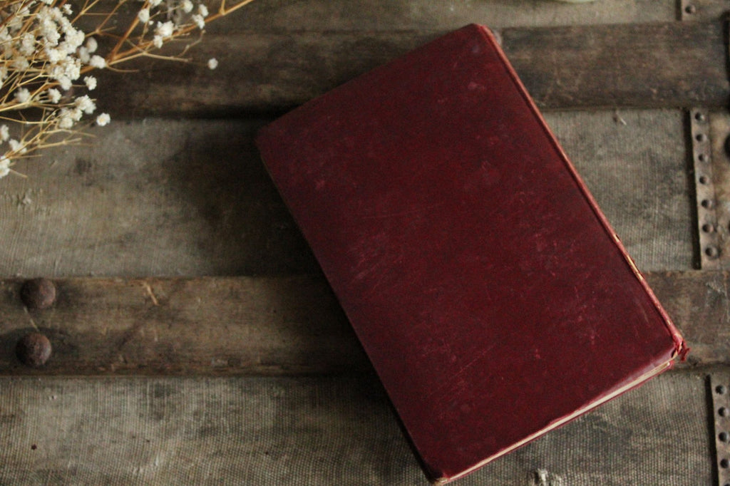 Vintage Antique 1890s Book, "Rhymes of Childhood" by James Whitcomb Riley