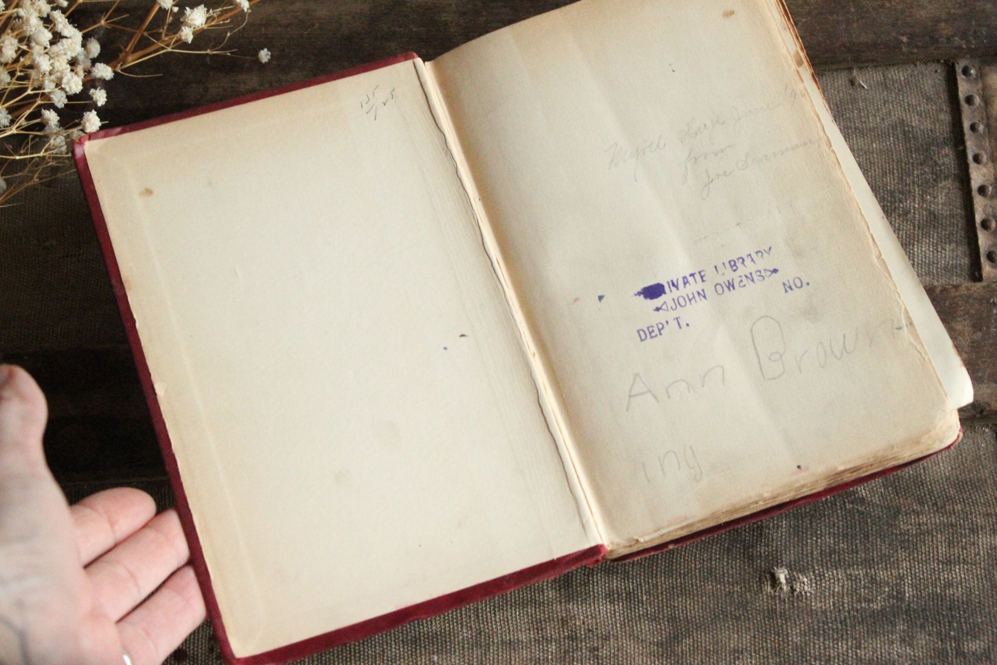 Vintage Antique 1890s Book, "Rhymes of Childhood" by James Whitcomb Riley