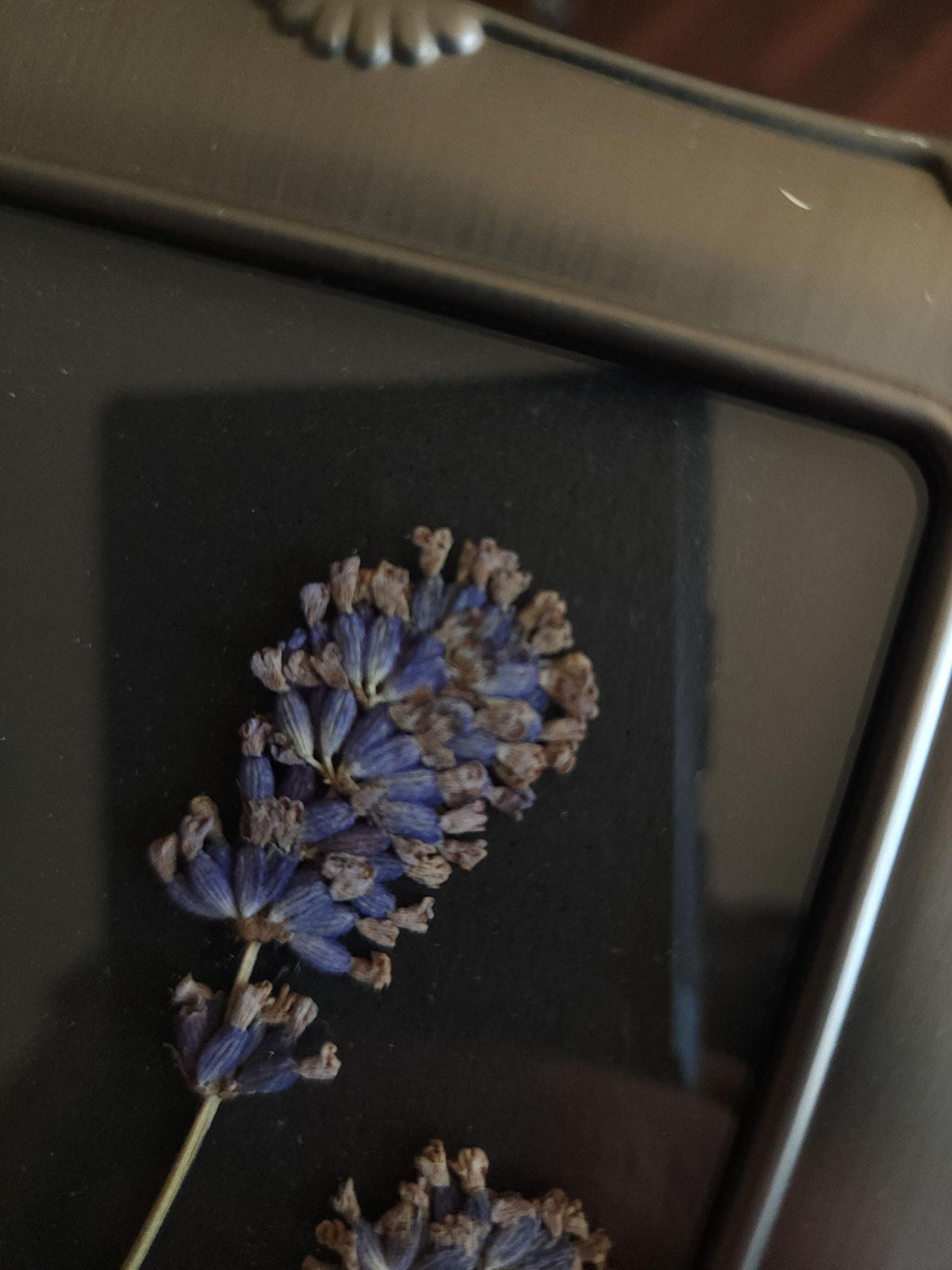 Framed Handmade Pressed Dried Lavender Flowers